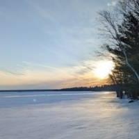 A picture containing outdoor, sky, tree, winter